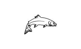 Fish Sticker 695