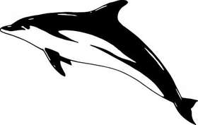 Dolphin Sticker 220