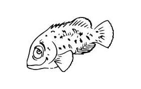 Fish Sticker 271
