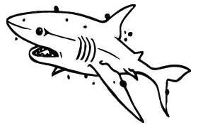 Shark Sticker 304