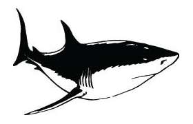 Shark Sticker 148