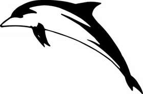 Dolphin Sticker 233