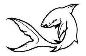 Shark Sticker 146