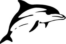 Dolphin Sticker 239