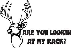 Are you Lookin At My Rack Deer Sticker 3