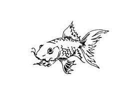 Fish Sticker 308