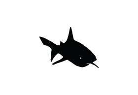 Shark Sticker 255