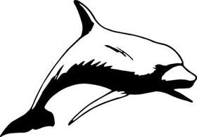 Dolphin Sticker 388