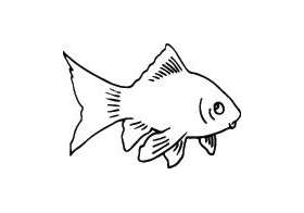 Fish Sticker 331