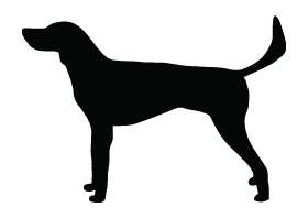 Pointer Dog Sticker 12