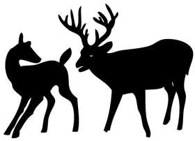 Deer Couple Sticker