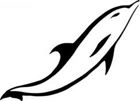 Dolphin Sticker 3