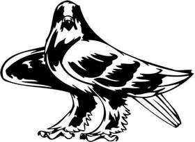 Predatory Bird Sticker 97