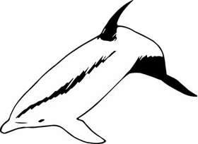 Dolphin Sticker 187
