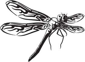 Dragonfly Sticker 68