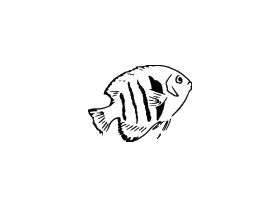 Fish Sticker 653