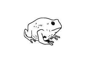 Frog Sticker 60