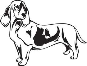 Basset Artesien Normand Dog Sticker