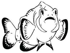 Fish Sticker 482