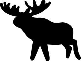 Moose Sticker 3