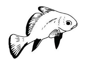 Fish Sticker 302
