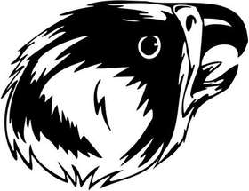 Predatory Bird Sticker 45