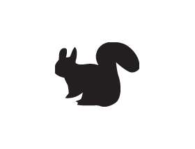 Squirrel Sticker 6