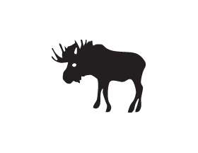 Moose Sticker 13