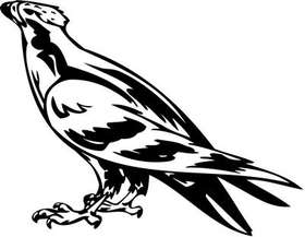 Predatory Bird Sticker 56