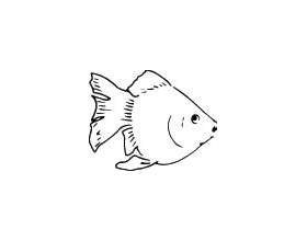 Fish Sticker 379