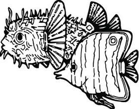 Fish Sticker 563
