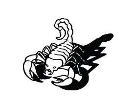 Scorpion Sticker 50