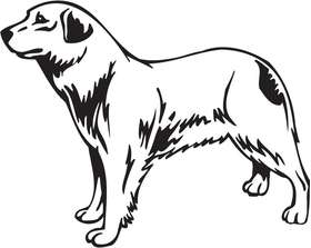 Aidi Dog Sticker