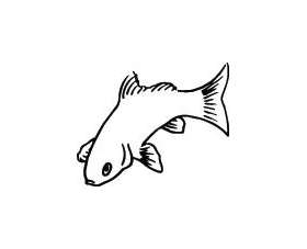 Fish Sticker 238