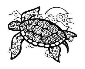 Turtle Sticker 16