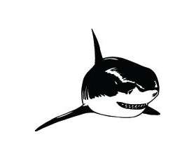 Shark Sticker 155