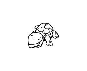 Turtle Sticker 14
