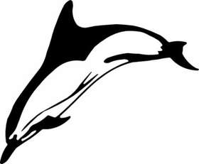 Dolphin Sticker 139