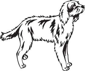 Briquet Griffon Vendeer Dog Sticker