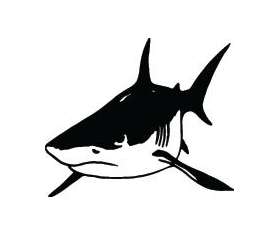 Shark Sticker 295