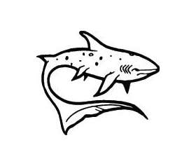 Shark Sticker 246