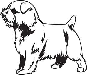 Norfolk Terrier Dog Sticker