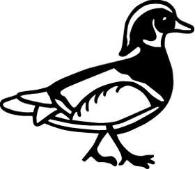 Duck Sticker 2