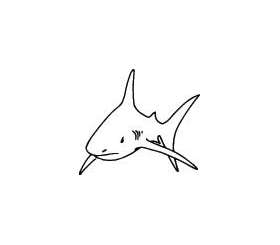 Shark Sticker 280