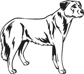 Anatolian Shepherd Dog Sticker