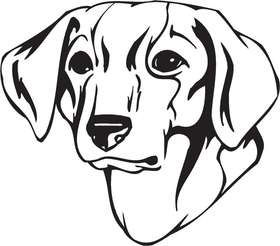 Istrian Shorthaired Hound Dog Sticker