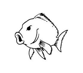 Fish Sticker 28