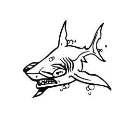 Shark Sticker 4