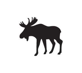 Moose Sticker 15