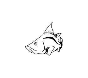 Fish Sticker 381